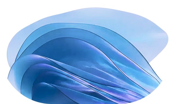 SageVibe companion illustration